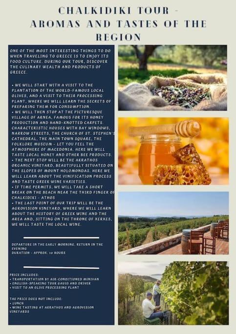 Willa Πετρινη Κατοικια Στην Φυση Tagarades Zewnętrze zdjęcie
