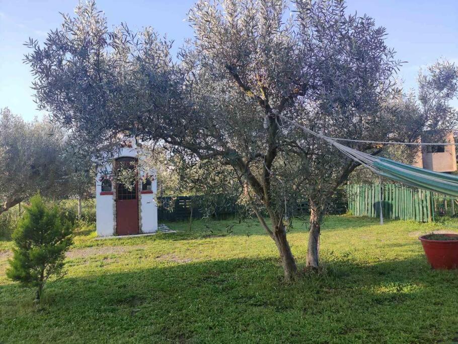 Willa Πετρινη Κατοικια Στην Φυση Tagarades Zewnętrze zdjęcie